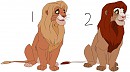 Male Adopt