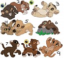 Adopts: Set 3