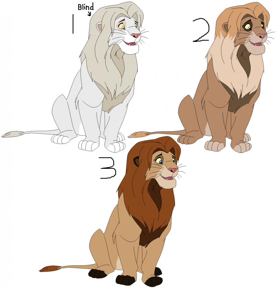 Adopts: Set 4