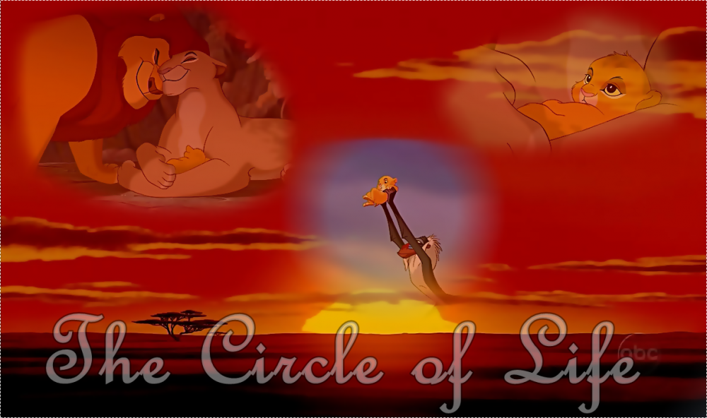 The Circle of Life