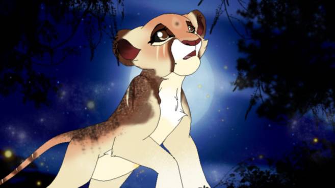 under the stars