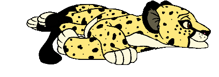 Amber Graphic (click her she moves)