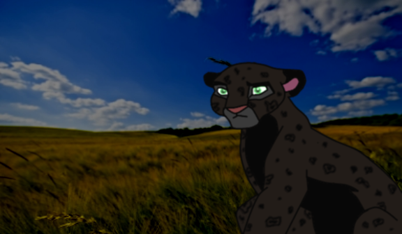 limbo glaring at Kenoro