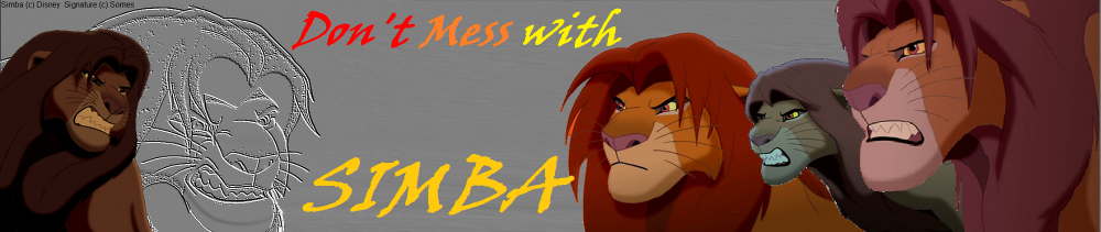 Don't Mess With SIMBA