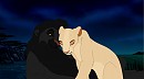 Forbidden love 