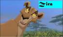 Zira