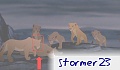 stormer23