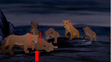 Sarafina spotted!