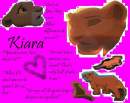 Kiara theme