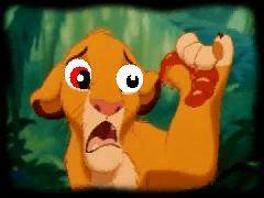 Simba is terrified!!!