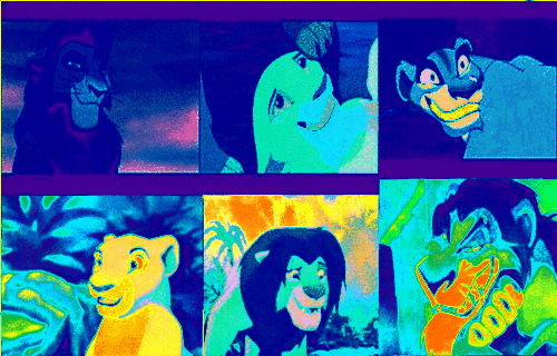 TLK Collage Thermal