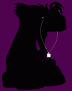 Shenzi I-Pod