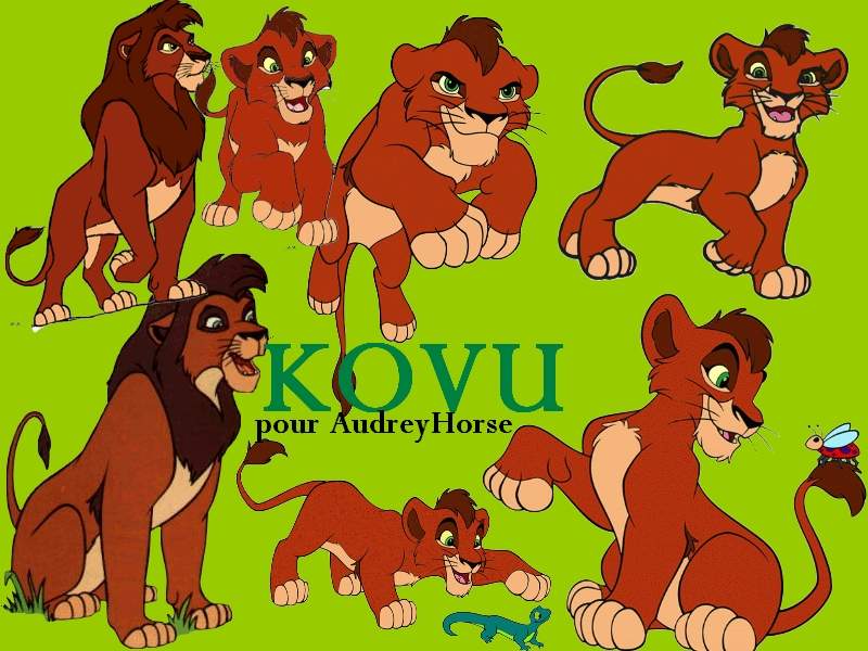 Montage Kovu
