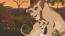 For -WildFire-: Bonding time