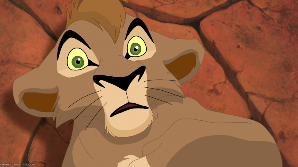 Chirco lionceau