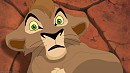 Chirco lionceau