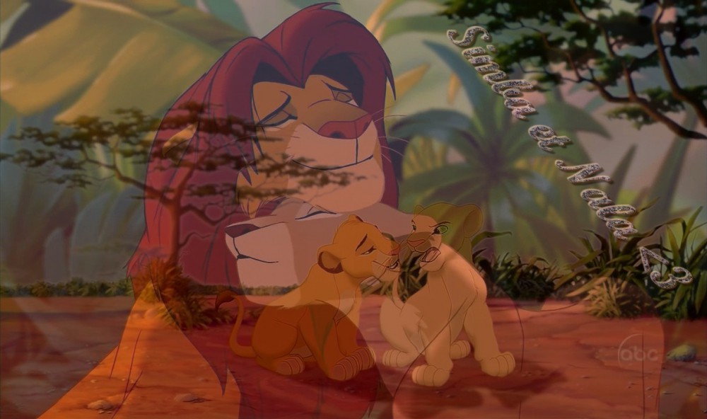 Simba et Nala