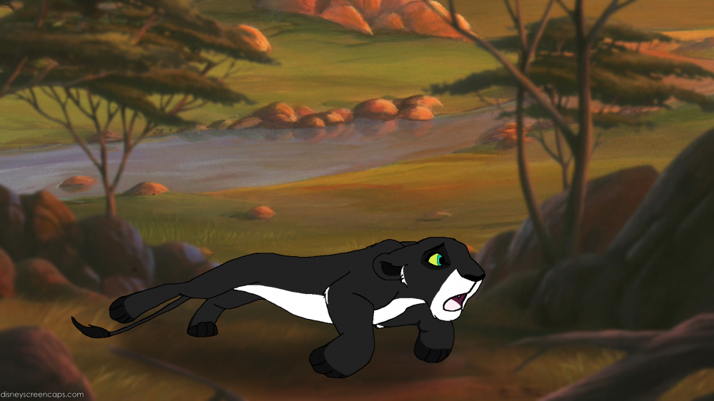 Run Unkua ! Run ! 
