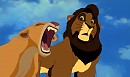 Lion Lessons