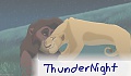 ThunderNight