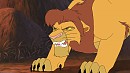 SimbaXnala cub.