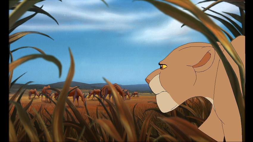 Baako Hunting
