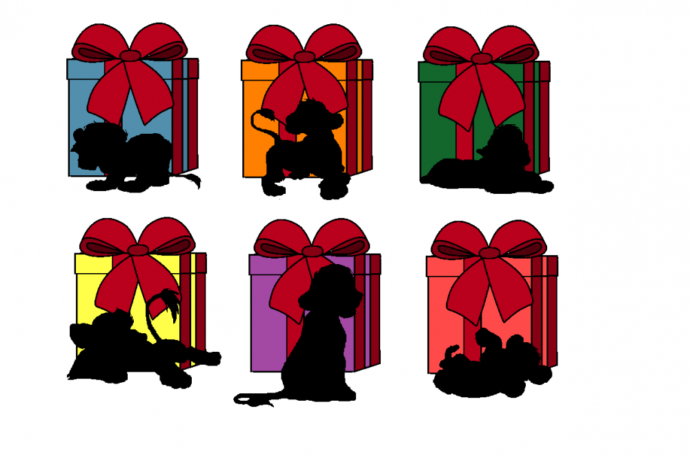 Christmas gifts (Males cubs)