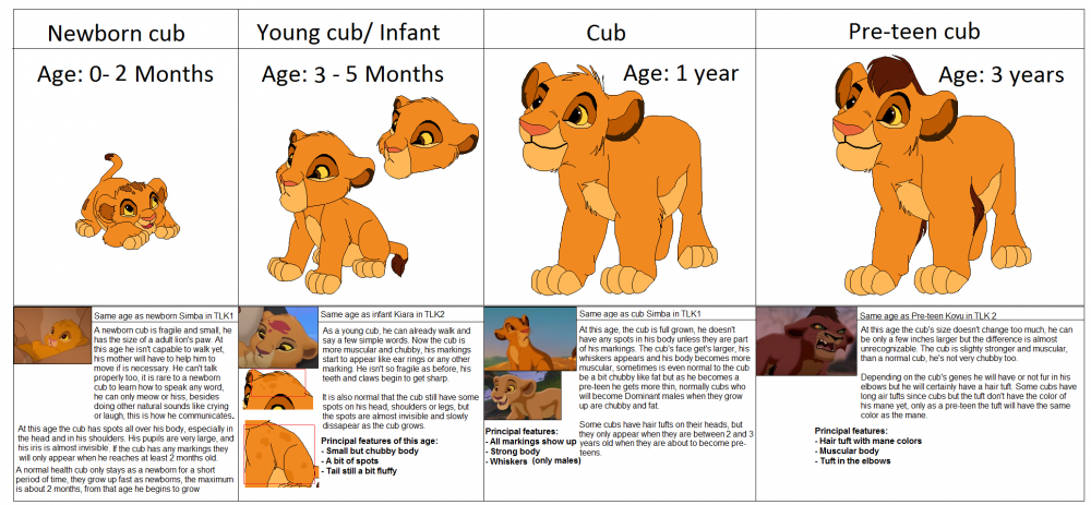 Lion Age Progression: Male cub