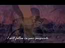 I will follow in your pawprints...