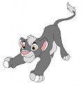 My friends cub: Brone