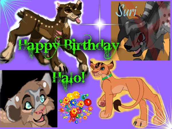 Happy Birthday Halo!