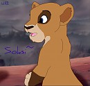 Soksi cub 8D