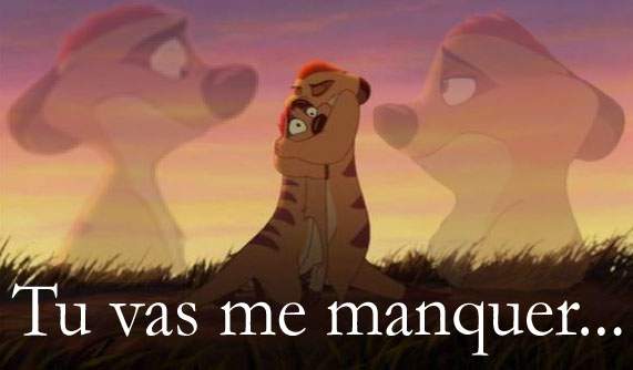 Tu vas me manquer...