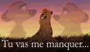 Tu vas me manquer...