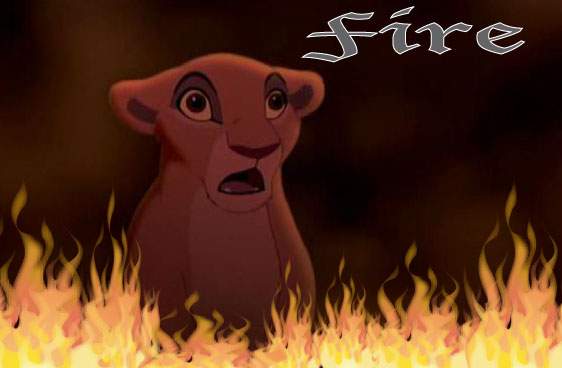Kiara in the fire