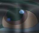 Simba's eye