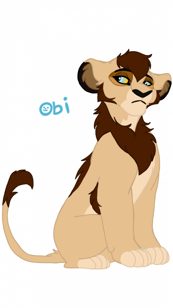 Updated / teen Obi