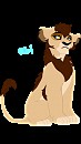 Updated / teen Obi