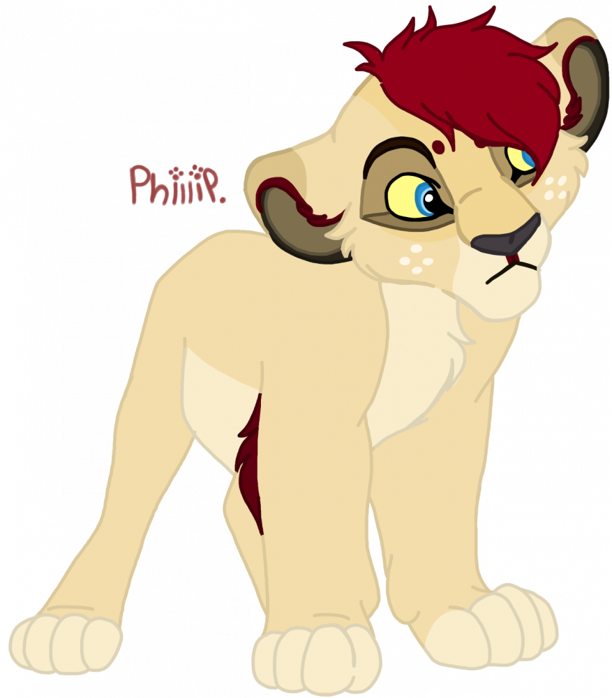 Updated Phillip