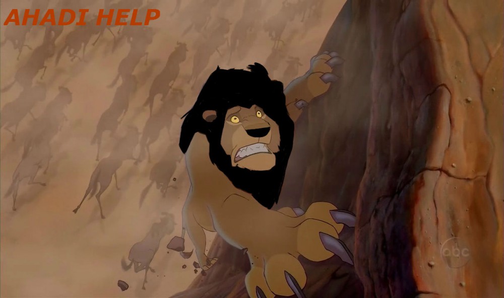Ahadi help