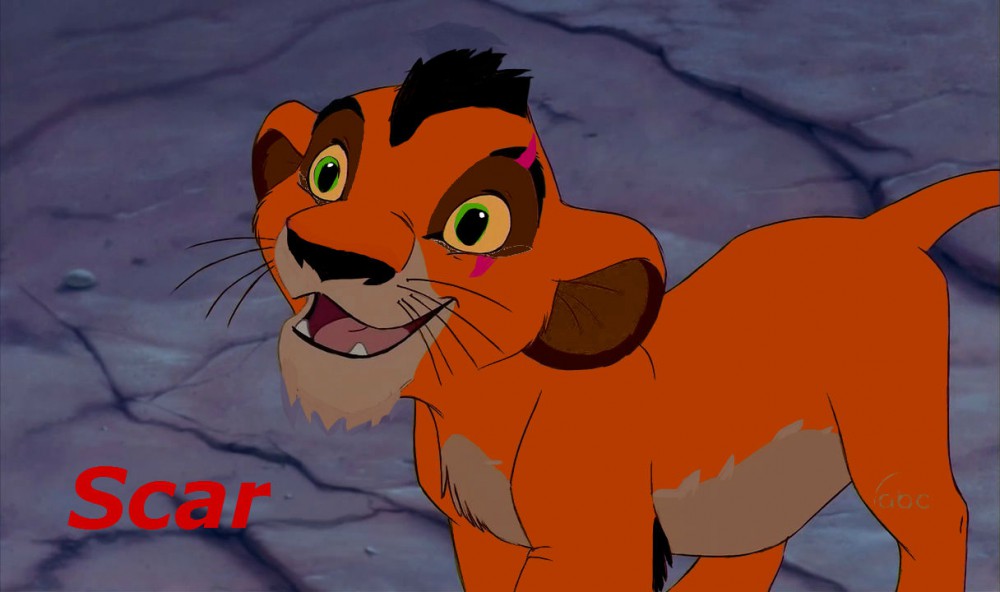 Scar petit
