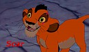 Scar petit