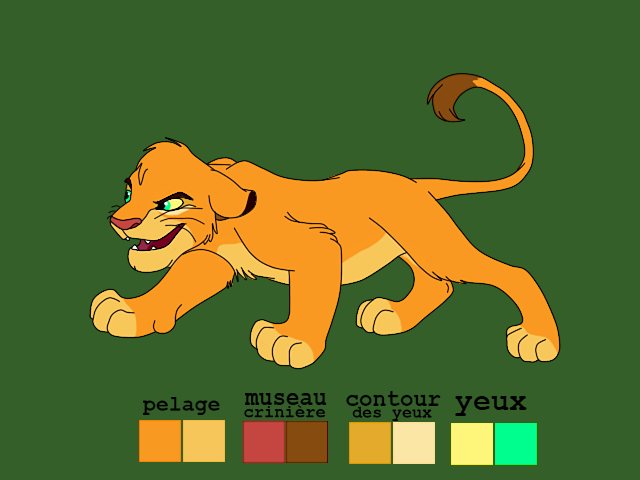 Kopa code couleur