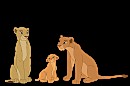 Nala évolution; couleurs