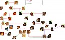 Family Tree.