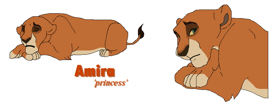 Amira-My Theory