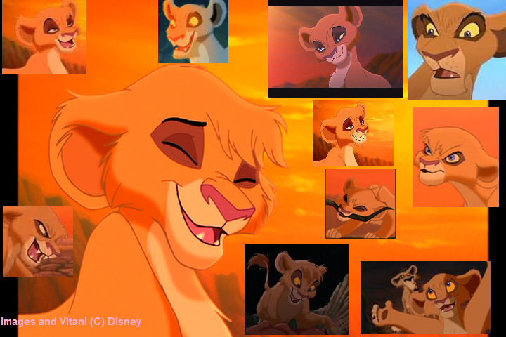 Vitani Collage