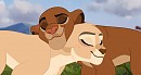 Love Birds