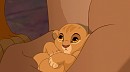 The New Princess