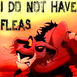 I do NOT have fleas